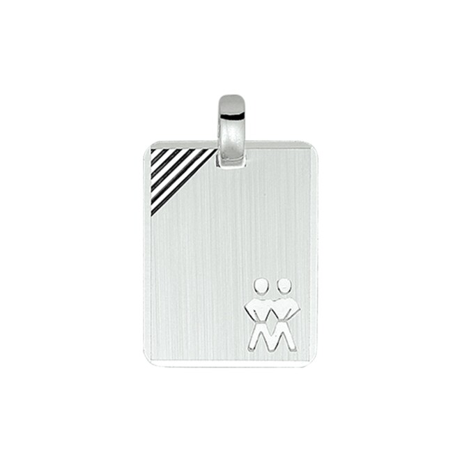 Huiscollectie 10.02808 plaatjes zilver