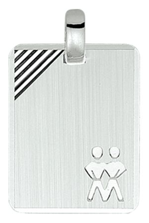Huiscollectie 10.02808 plaatjes zilver