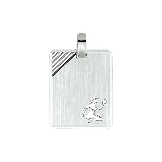 Huiscollectie 10.02831 plaatjes zilver