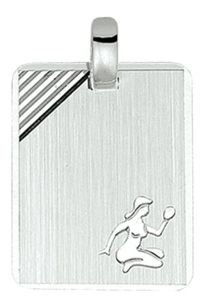 Huiscollectie 10.02831 plaatjes zilver