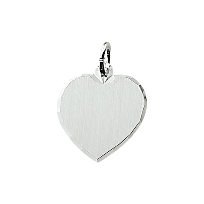 Huiscollectie 10.05894 plaatjes zilver