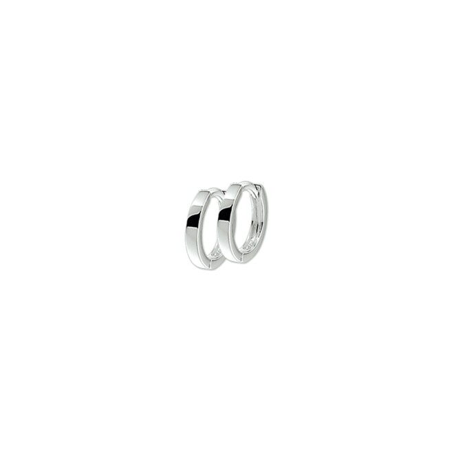 Huiscollectie 10.09795 Creolen