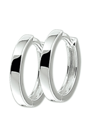Huiscollectie 10.09796 Creolen