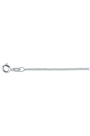 Huiscollectie 10.18837 Ketting