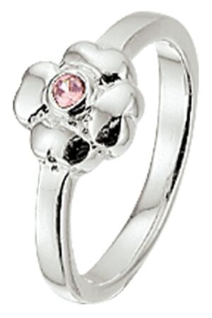 Huiscollectie 10.20808 Ring