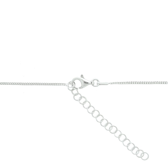 Huiscollectie 13.24633 Ketting