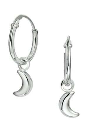 Huiscollectie 13.27322 Creolen