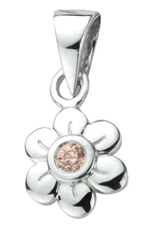 Huiscollectie 13.30245 Bedels