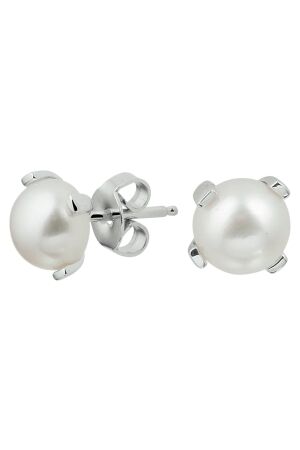 Huiscollectie 13.31200 Oorknoppen