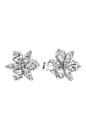 Pandora 292633C01 Oorknoppen