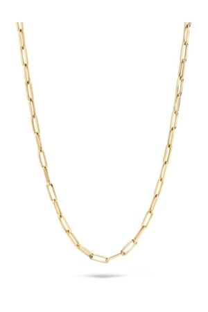Blush 3101YGO Ketting