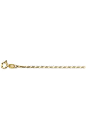 Huiscollectie 40.04593 Ketting