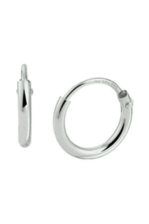 Huiscollectie 41.00781 Creolen