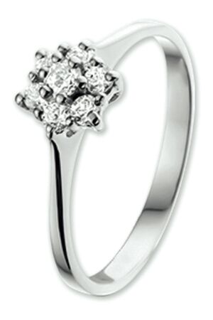 Huiscollectie 41.02739 Ring