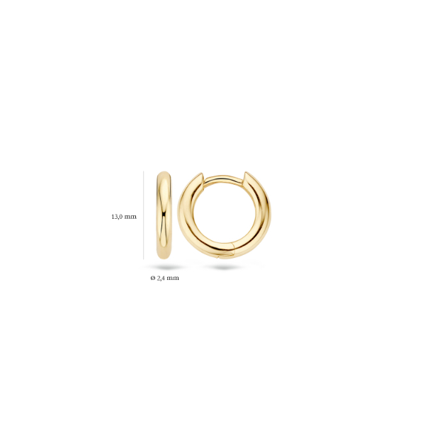 Blush 7165YGO Creolen