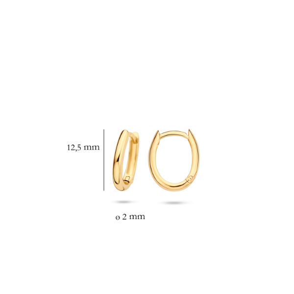 Blush 7224YGO Creolen