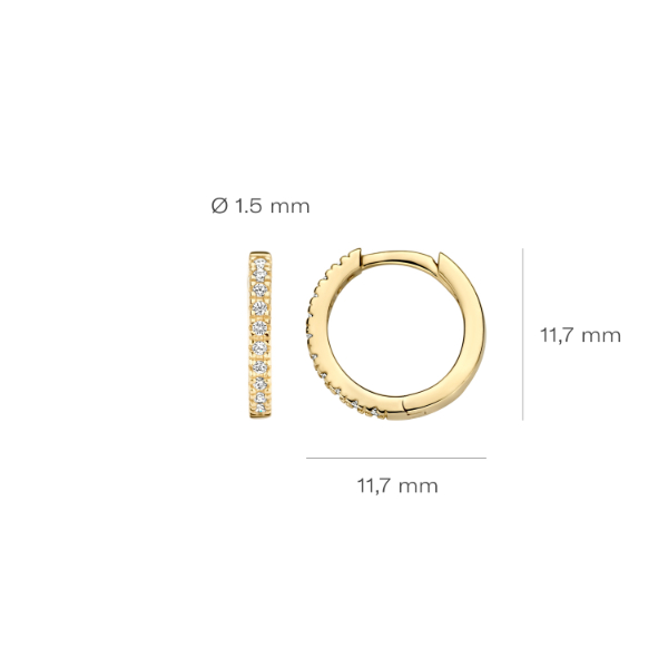 Blush 7307YZI Creolen