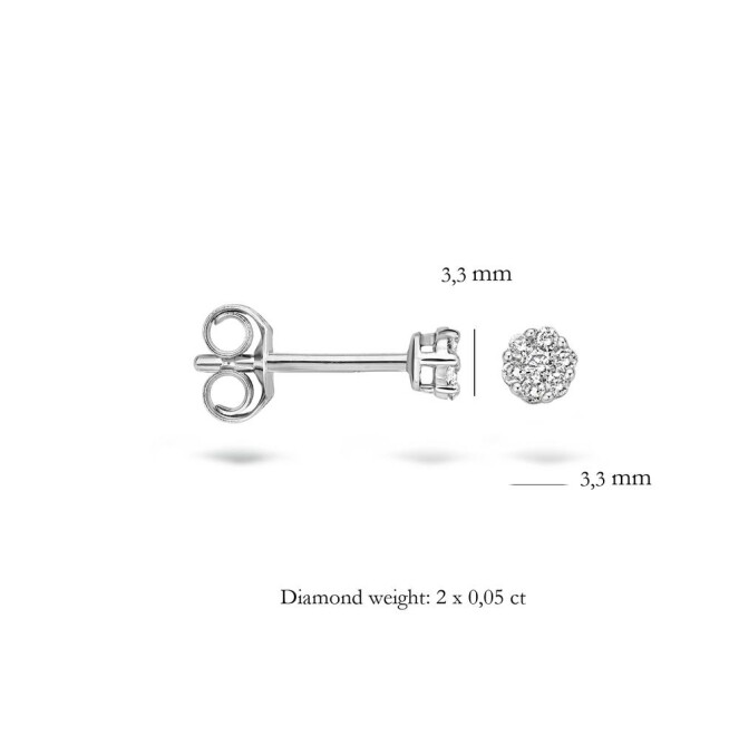 Blush Diamonds 7603WDI Oorknoppen
