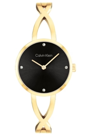 Calvin Klein CK25100059 horloge