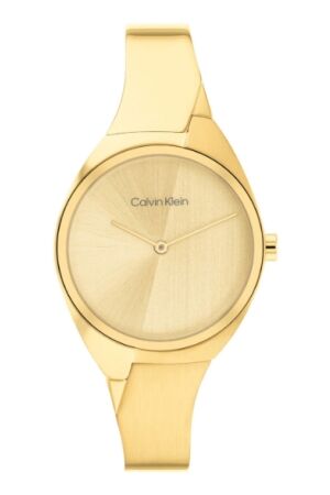Calvin Klein CK25200235 horloge