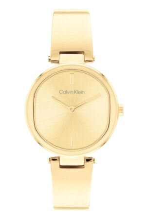 Calvin Klein CK25200309 horloge