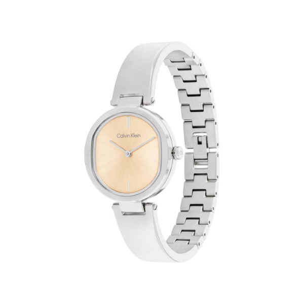 Calvin Klein CK25200311 horloge