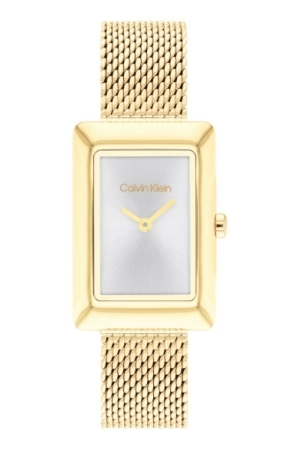 Calvin Klein CK25200396 horloge