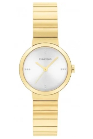 Calvin Klein CK25200416 horloge