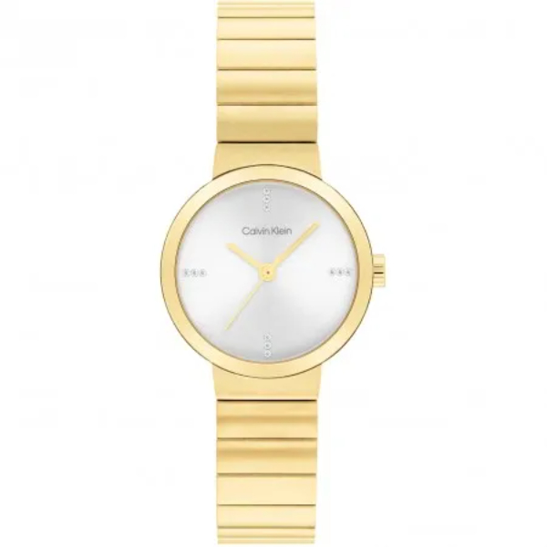 Calvin Klein CK25200416 horloge