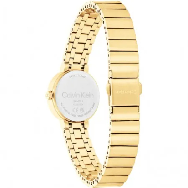 Calvin Klein CK25200416 horloge