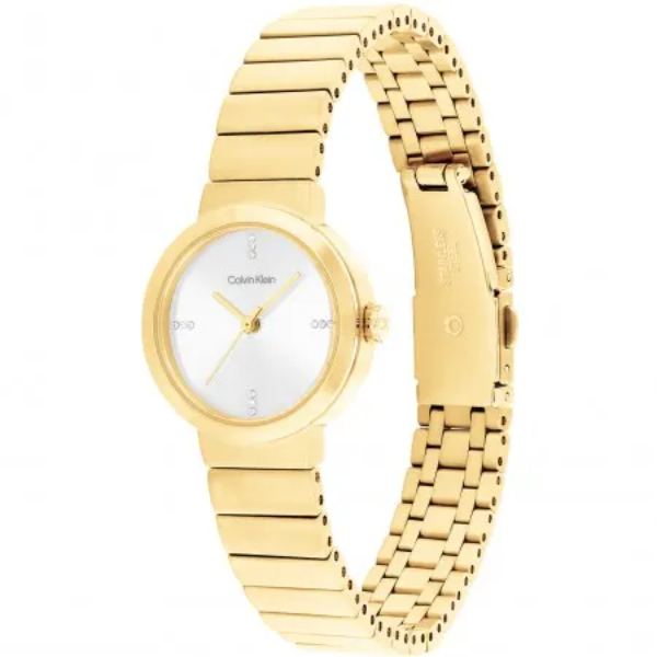 Calvin Klein CK25200416 horloge