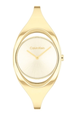 Calvin Klein CK25200422 horloge