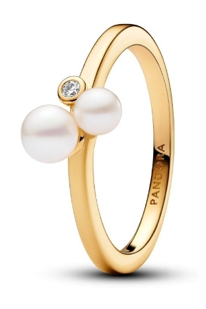 Pandora 163156C01 Ring
