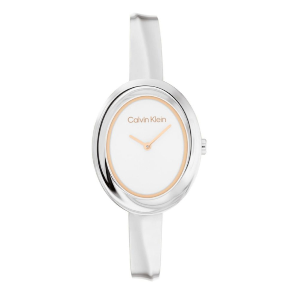 Calvin Klein CK25100055 horloge