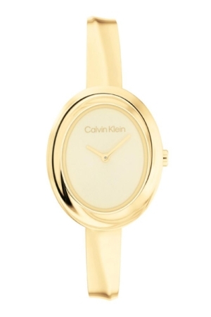 Calvin Klein CK25100056 horloge