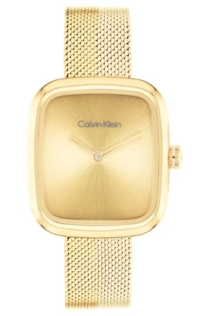 Calvin Klein CK25100099 horloge
