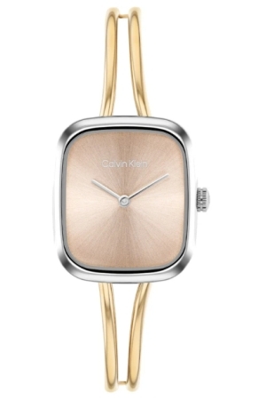 Calvin Klein CK25100134 horloge