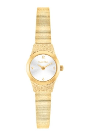 Calvin Klein CK25100193 horloge