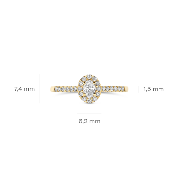 BLG LG1045Y Ring